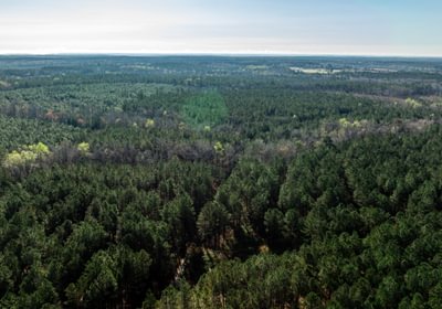 351 AFM Island Creek Farms 5