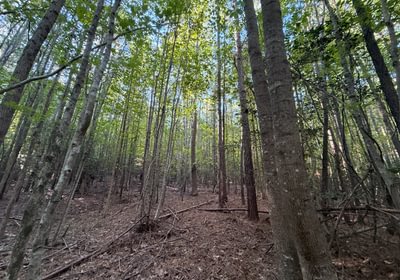 352 IMG 0383