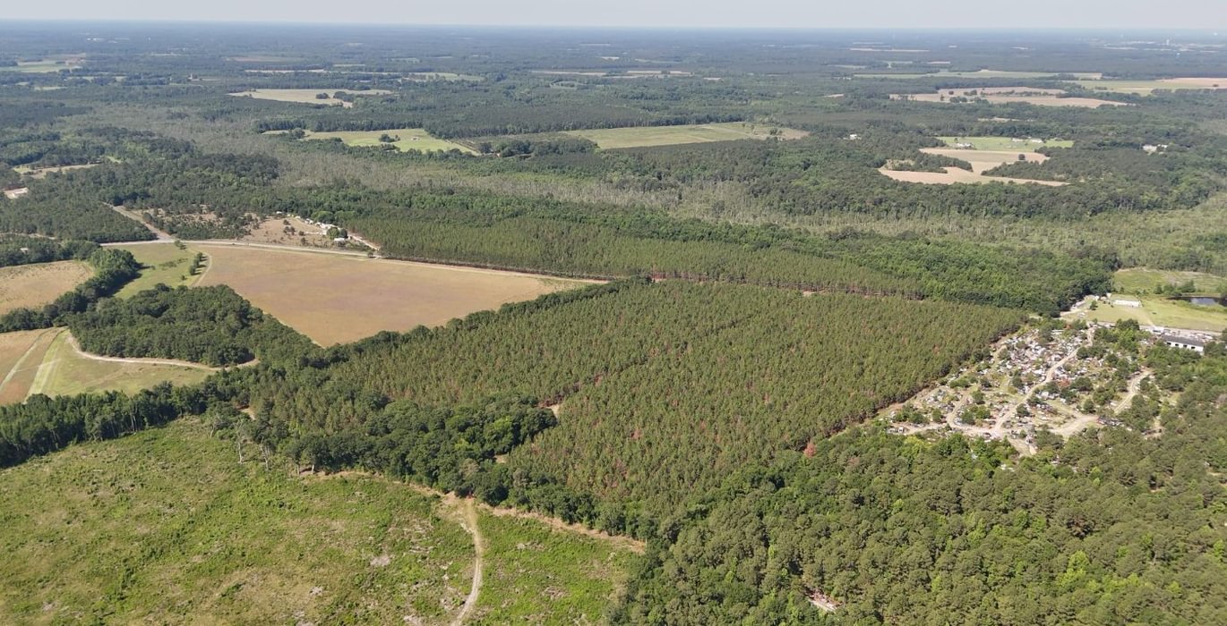 353 Beaverdam Creek Photo 2