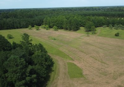 353 DJI 0962