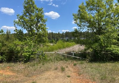 355 rd IMG 0236