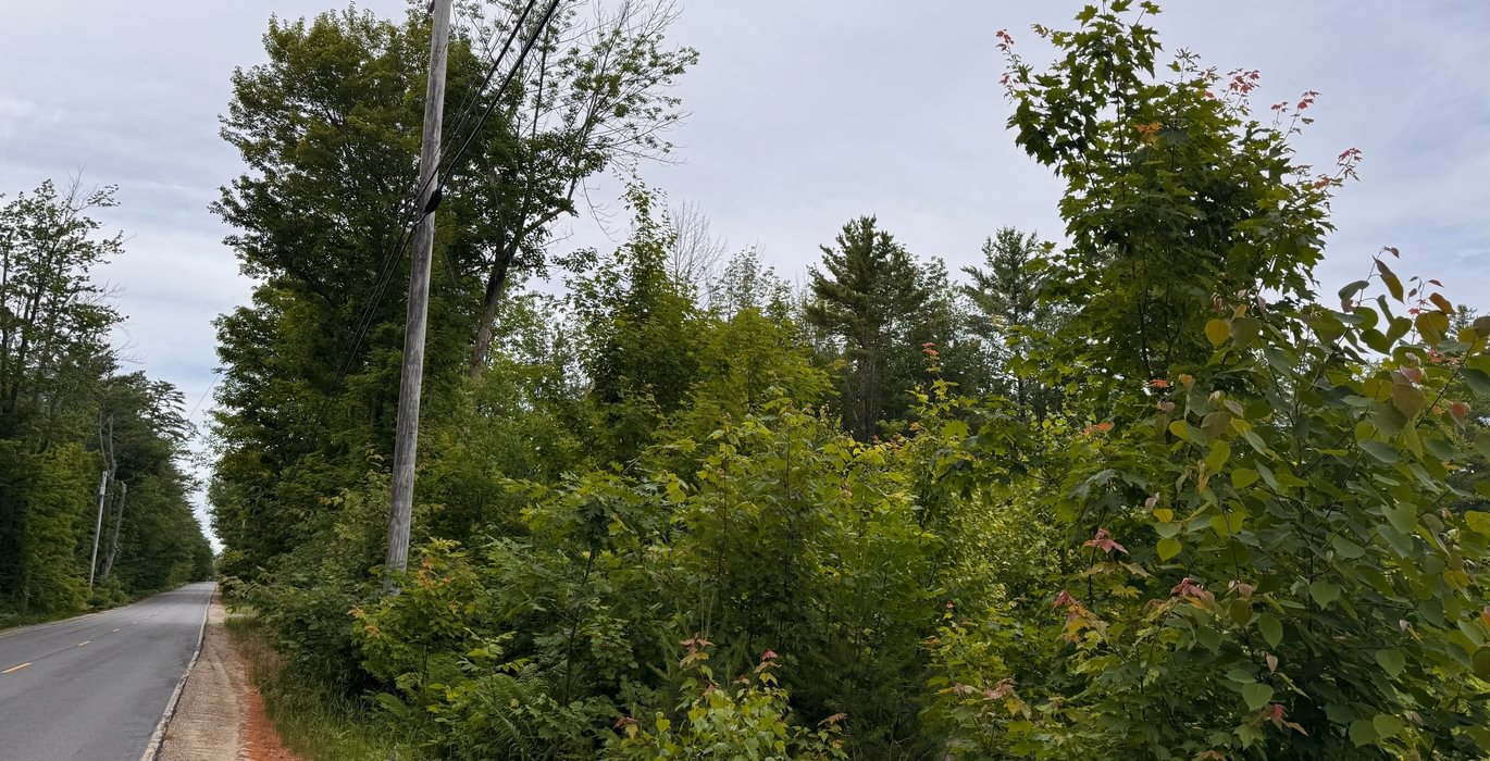 357 road frontage 2