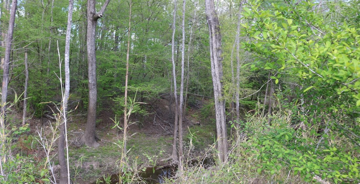 359 IMG 3666