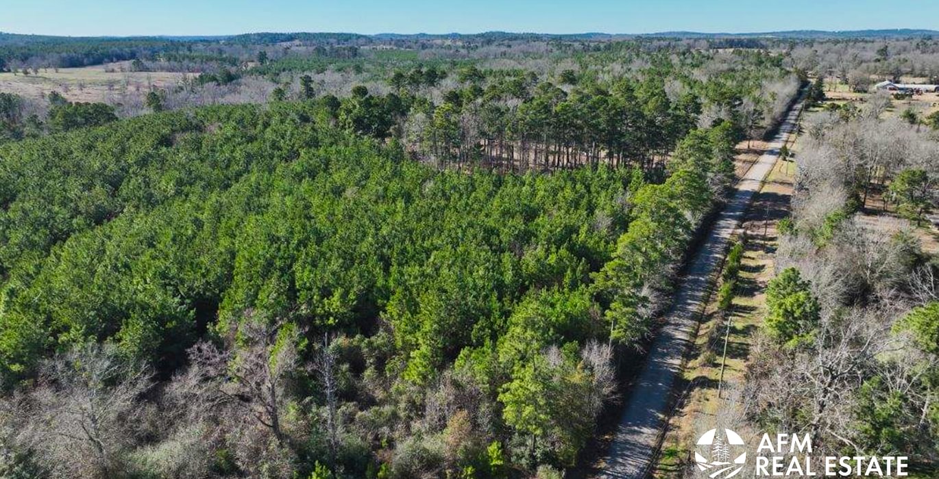 35 DJI 20250201142859 0024 V