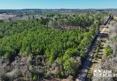 35 DJI 20250201142859 0024 V