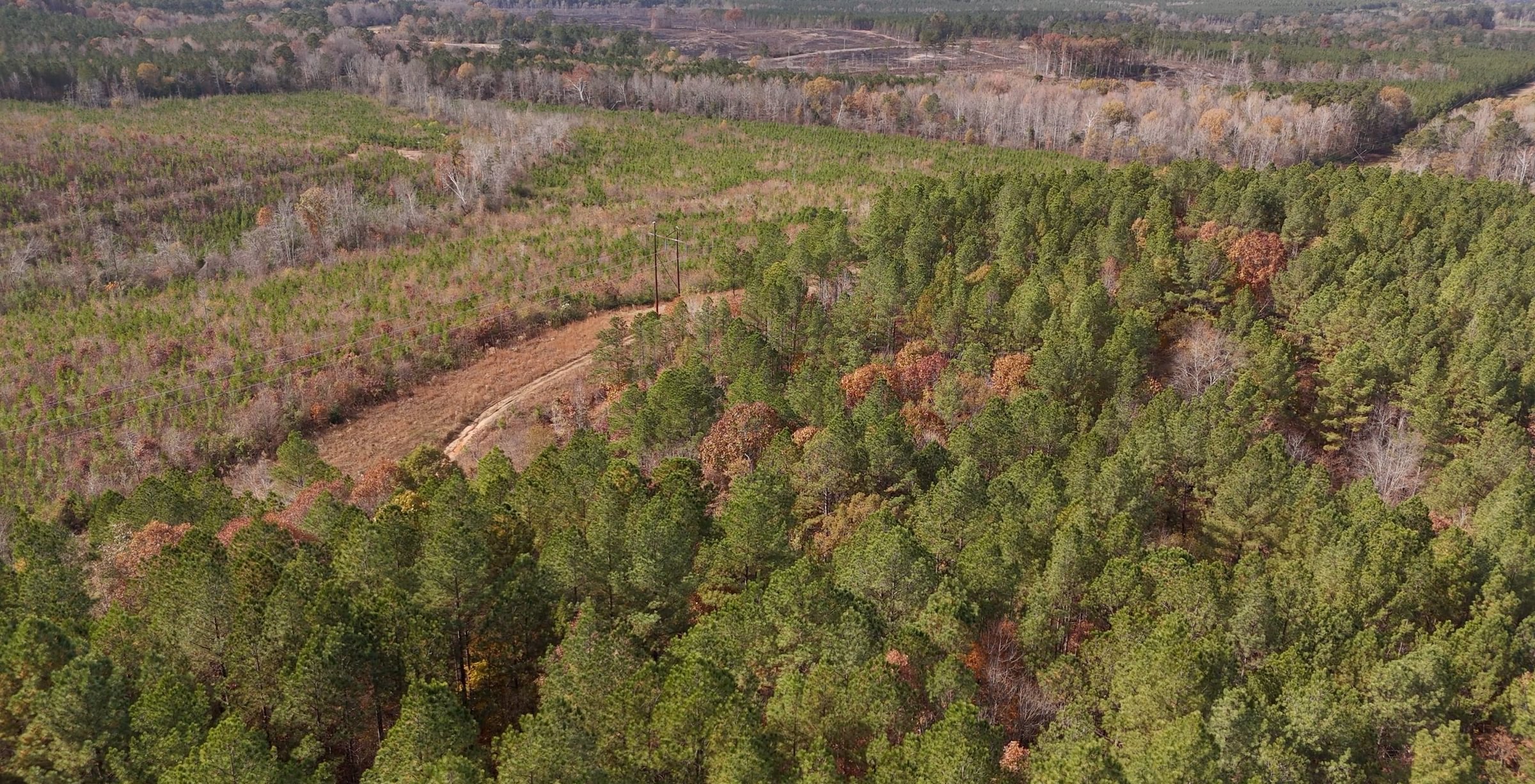 360 AFM Crump Farm Photo 8