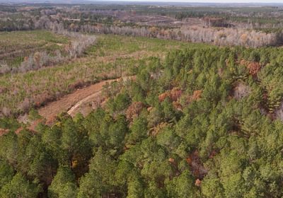 360 AFM Crump Farm Photo 8