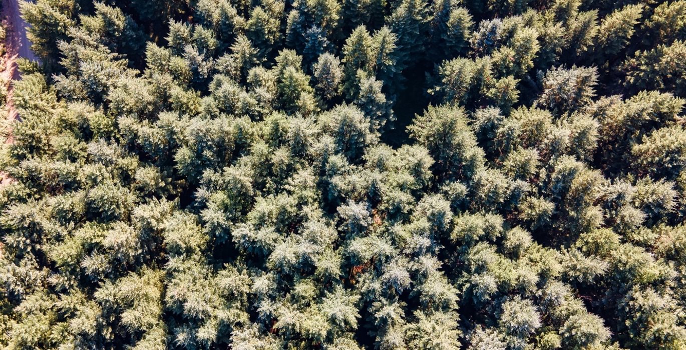 360 DJI 0880 HDR25