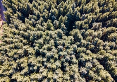 360 DJI 0880 HDR25