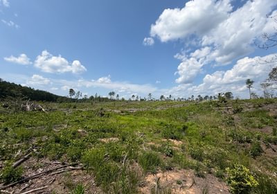 360 IMG 0230