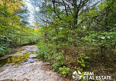 360 IMG 7624 Medium Medium