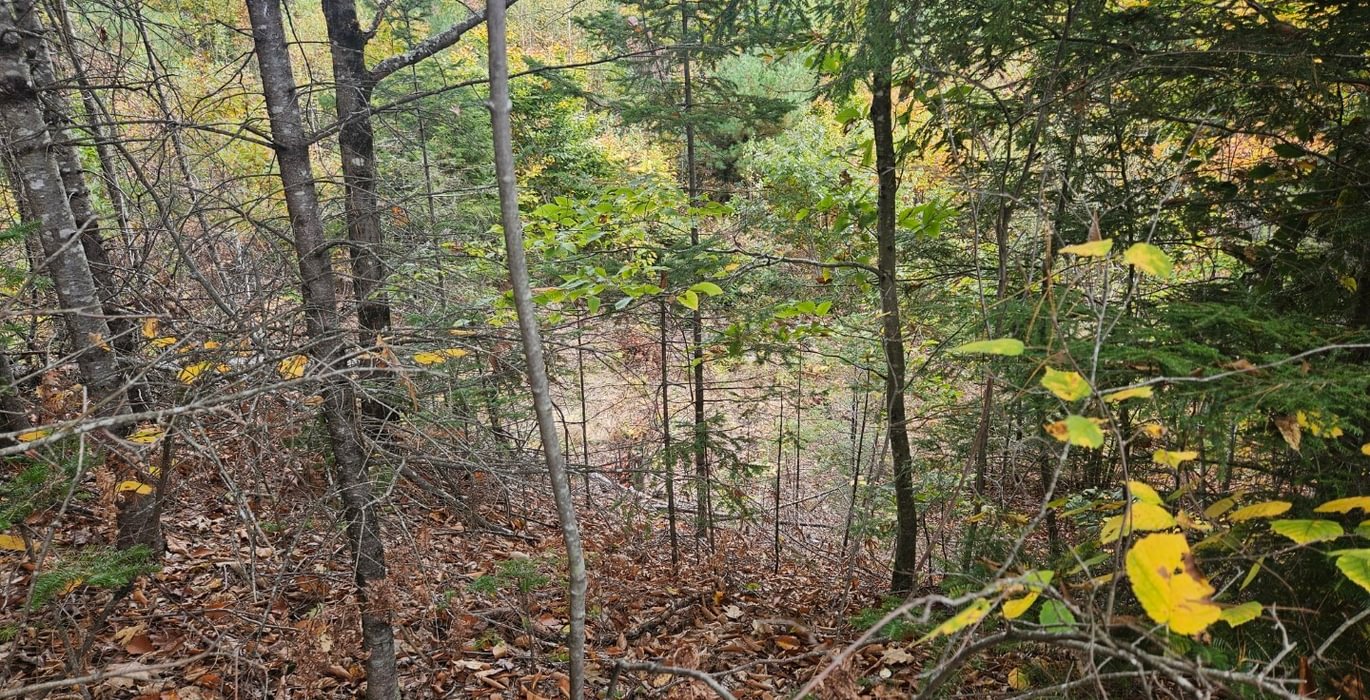 361 12 Lot with view looking east