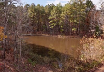 361 AFM Crump Farm Photo 1