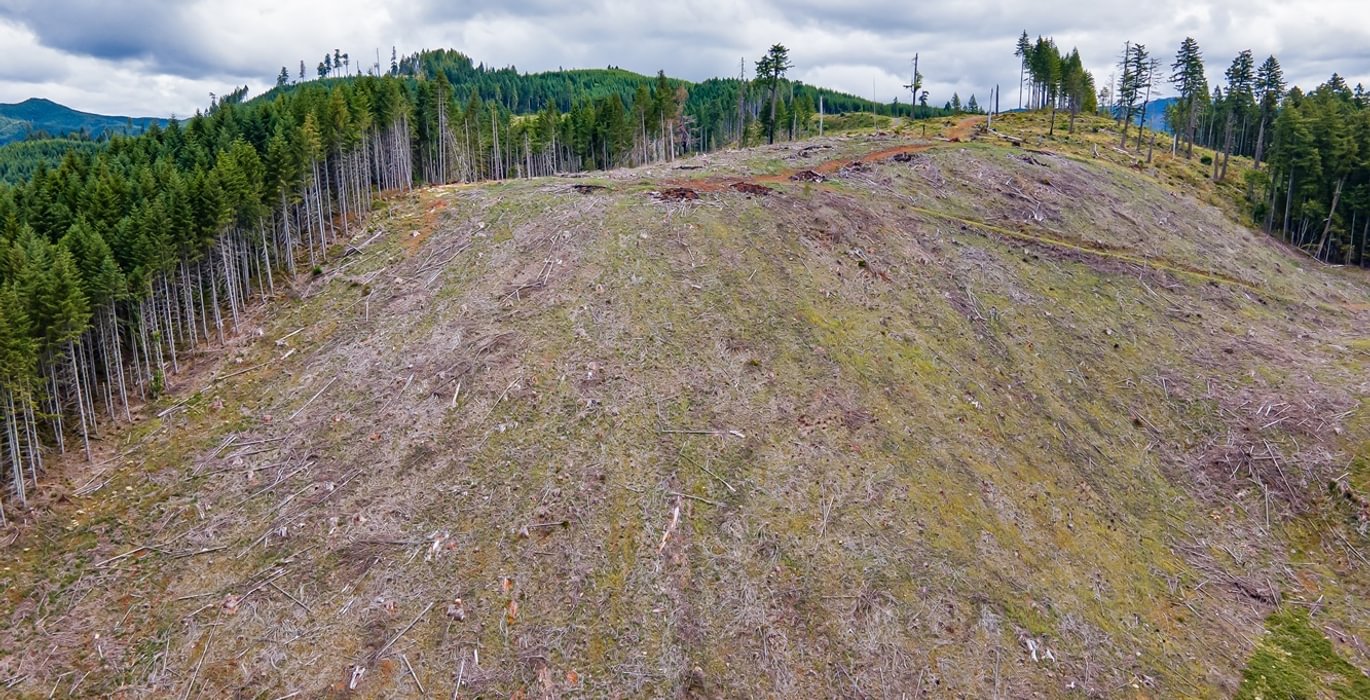 362 DJI 0614 HDR25