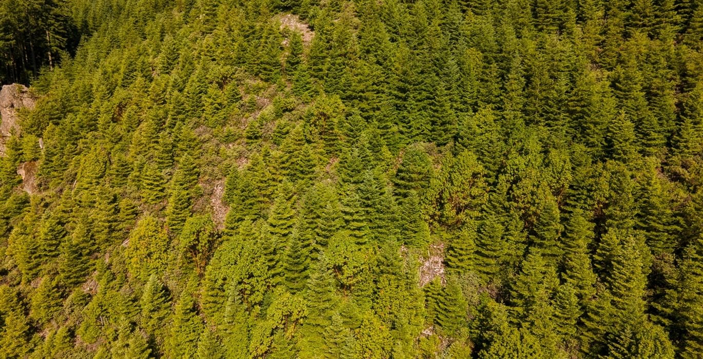 362 DJI 0844 HDR25