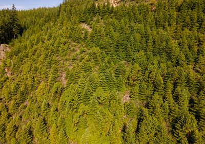 362 DJI 0844 HDR25