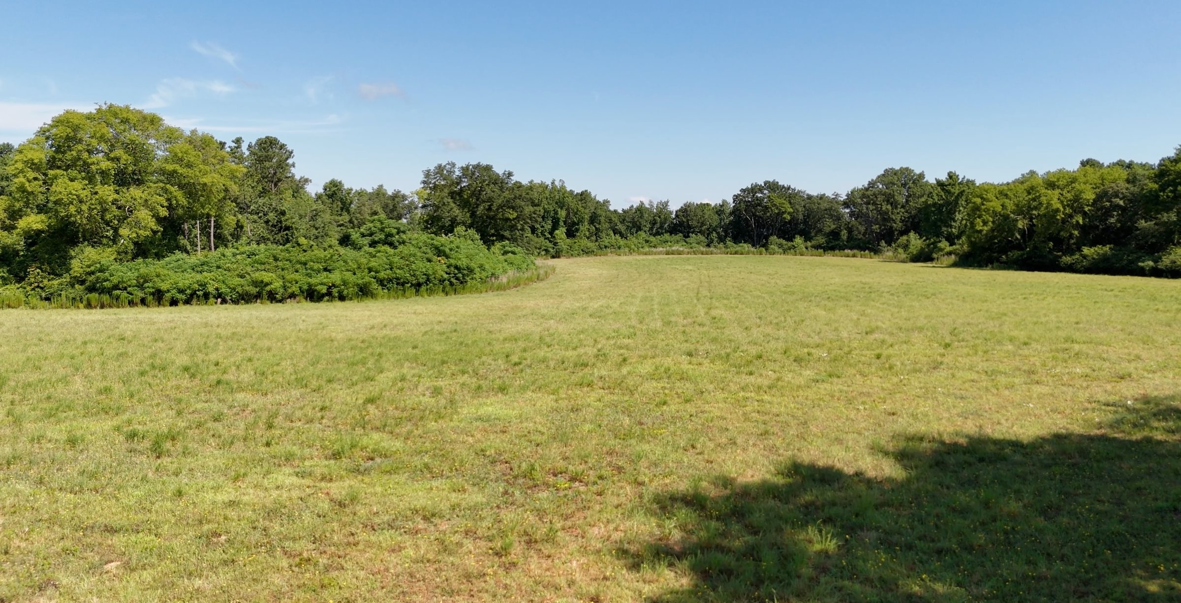 362 Horseshoe Road Photo 19