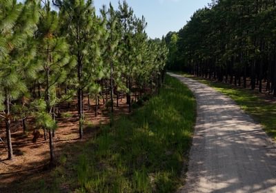 365 Longleaf Mecca Photo 24