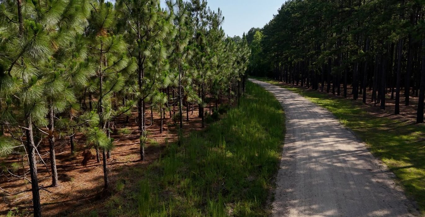 365 Longleaf Mecca Photo 24