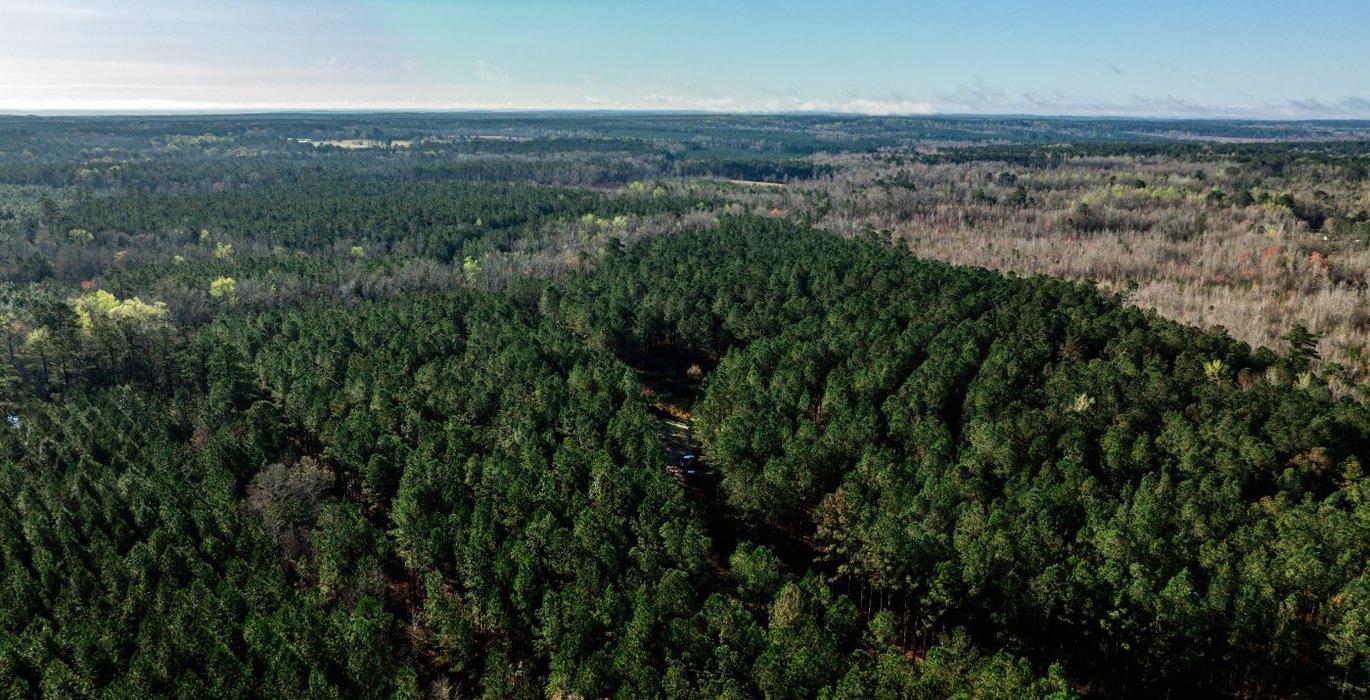 367 AFM Pines at Devereux 19