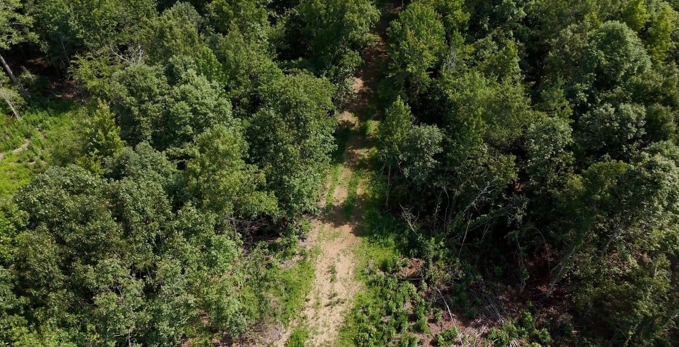 368 AFM Lambert Tract Photo 8