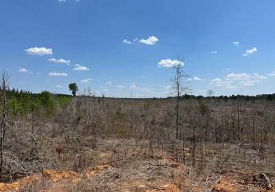 370 IMG 01521