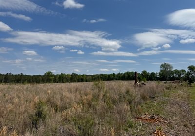370 IMG 7180