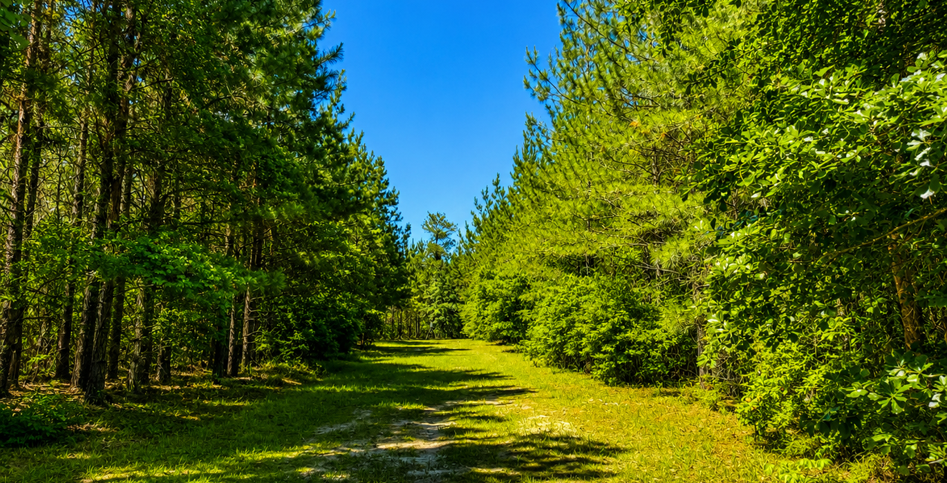 370 Road