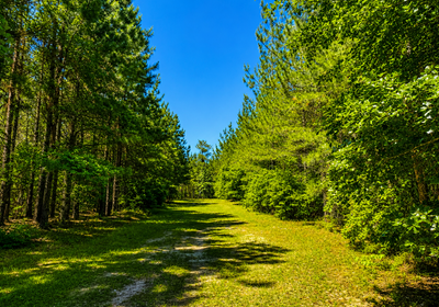 370 Road