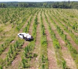 371 Gibson Aerial 23 5