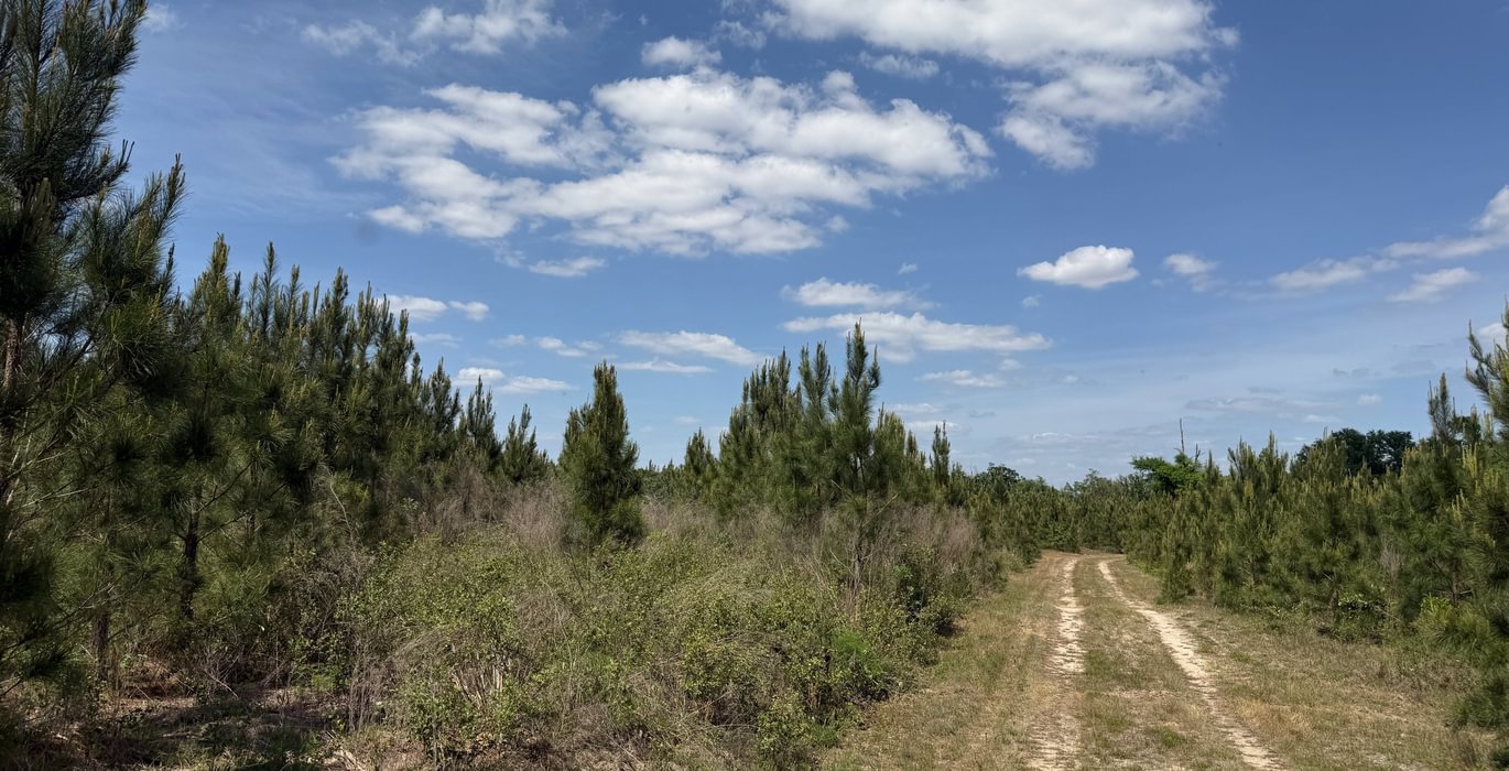 371 IMG 1569