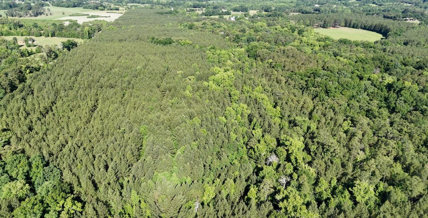 372 AFM Vineyard Road Tract A Photo 4