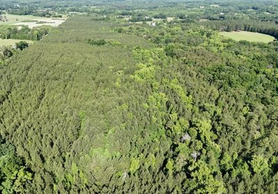 372 AFM Vineyard Road Tract A Photo 4