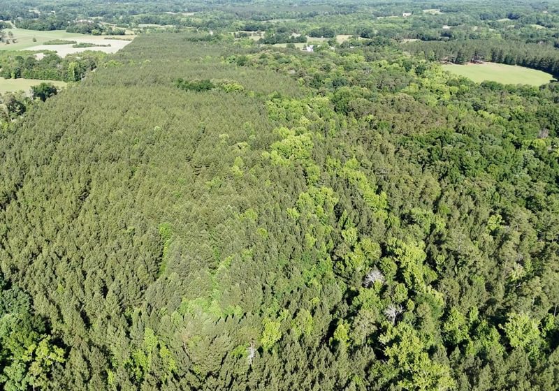372 AFM Vineyard Road Tract A Photo 4