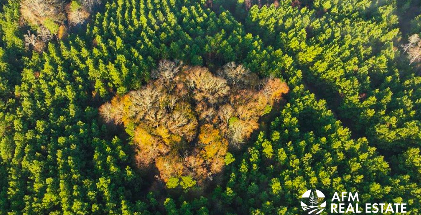 373 DJI 20250201075052 0056 V