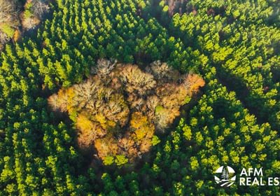 373 DJI 20250201075052 0056 V