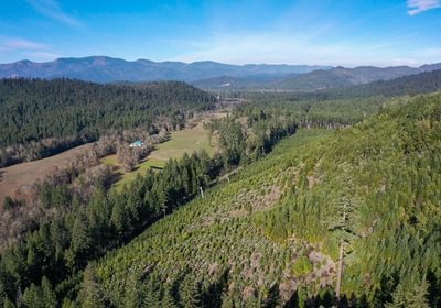 373 Photo Dec 04 2025 10 11 21 PM 9 1