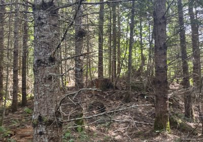 376 IMG 20250604 153736673 HDR