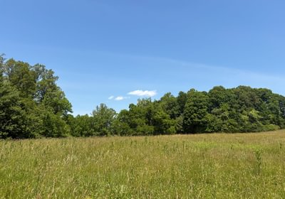376 IMG 5382