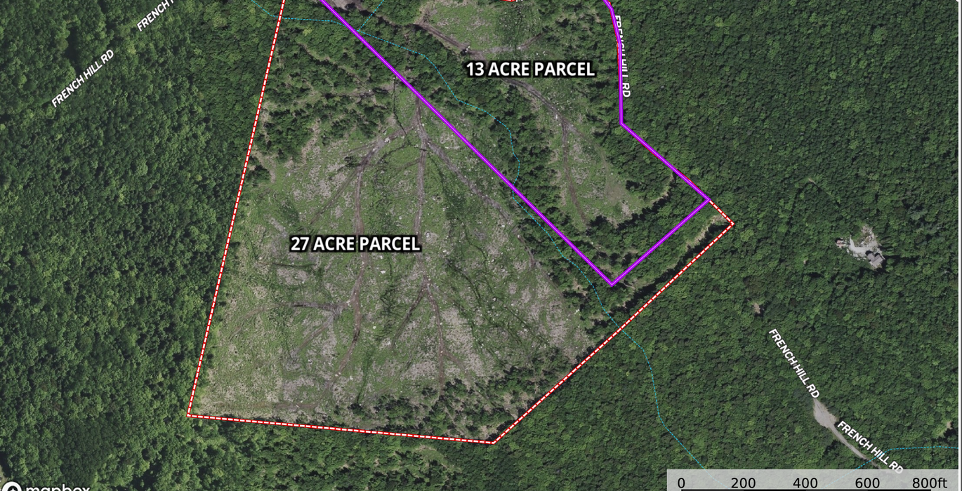 377 Albany Twp Full Parcel map