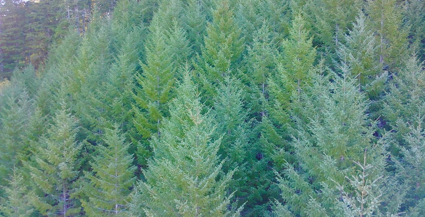 378 IMG20260408121548195