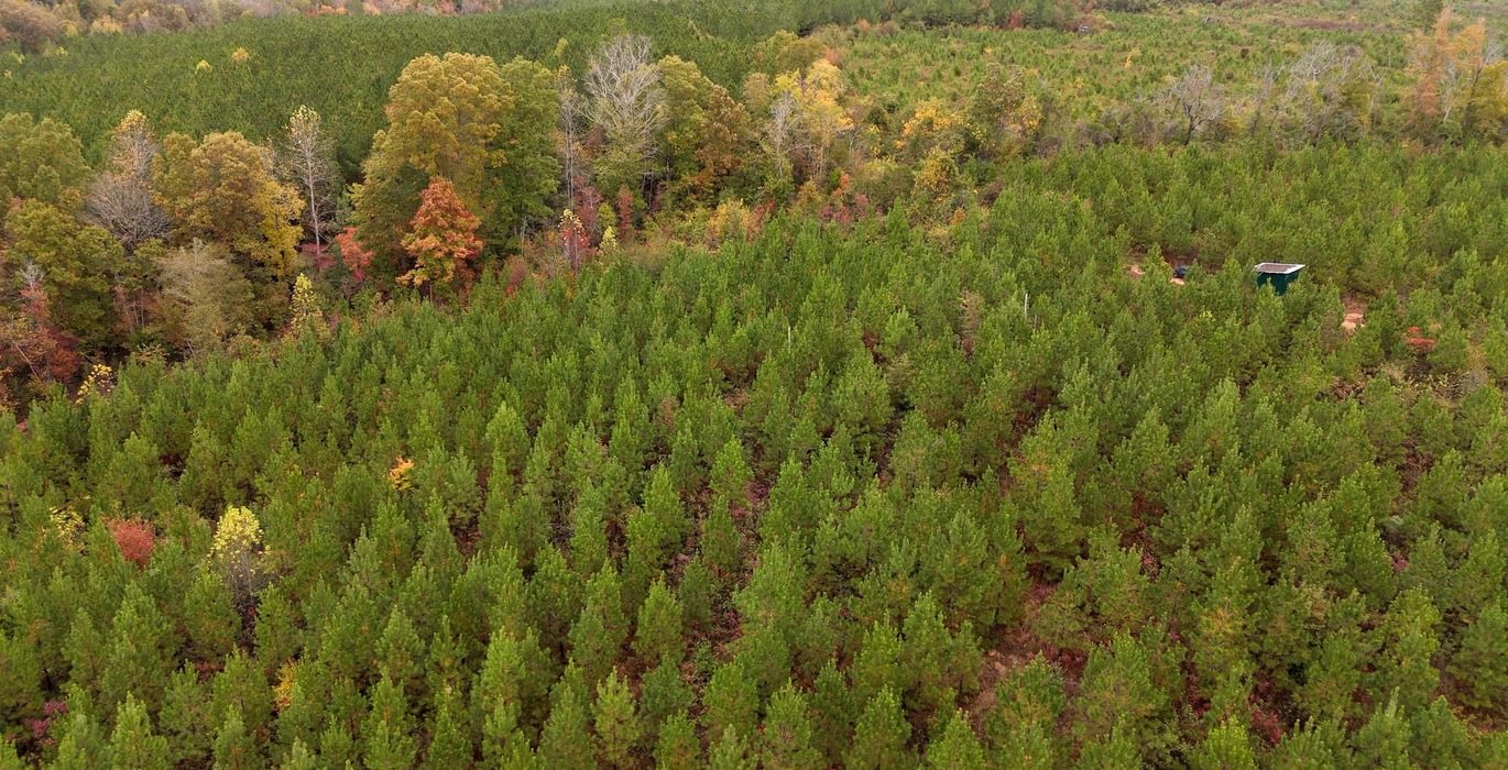 380 AFM Richmond 126 Tract Photo 14