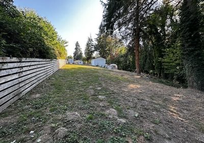382 IMG 1475