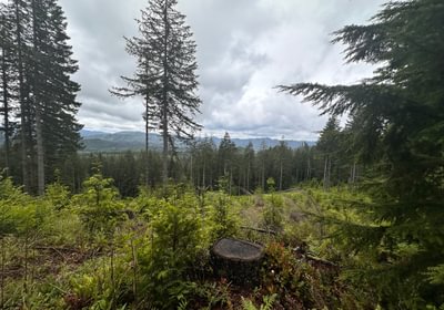 382 IMG 8957