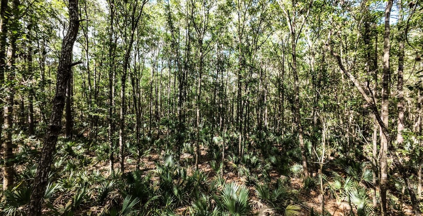 383 DJI 20250516231135 0068 D