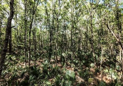 383 DJI 20250516231135 0068 D