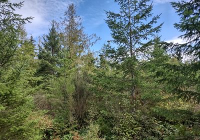 383 IMG 20240923 133729825 HDR