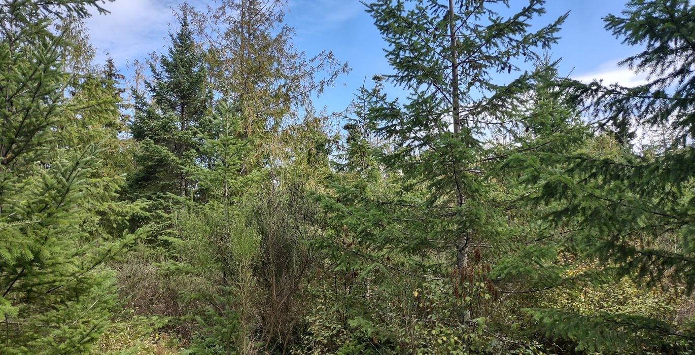 383 IMG 20240923 133729825 HDR
