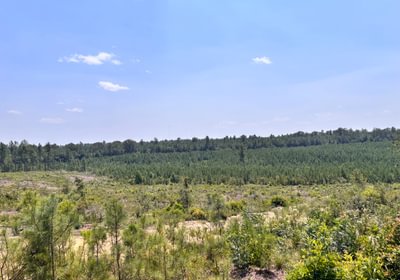 384 IMG 7310