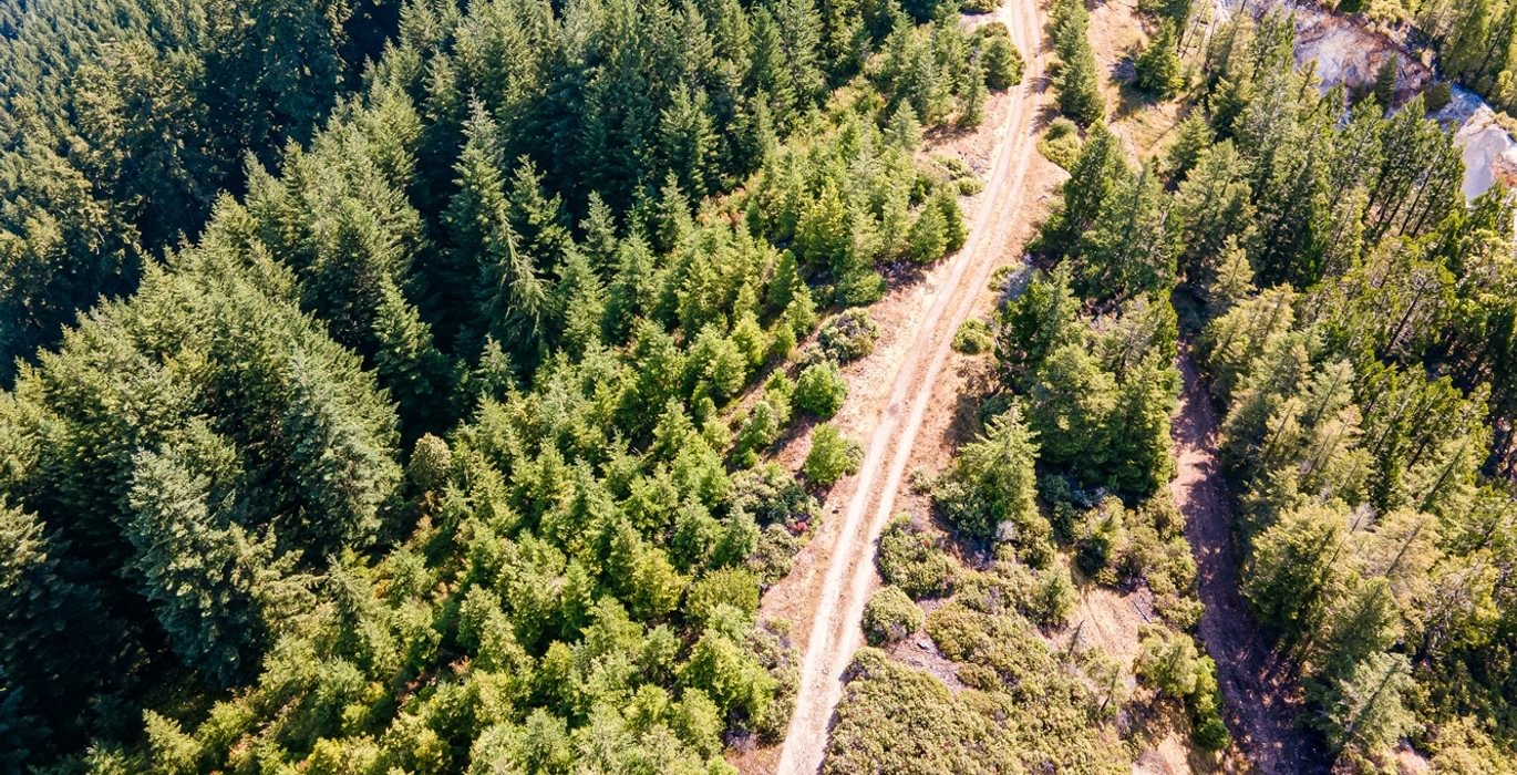 385 DJI 0826 HDR25